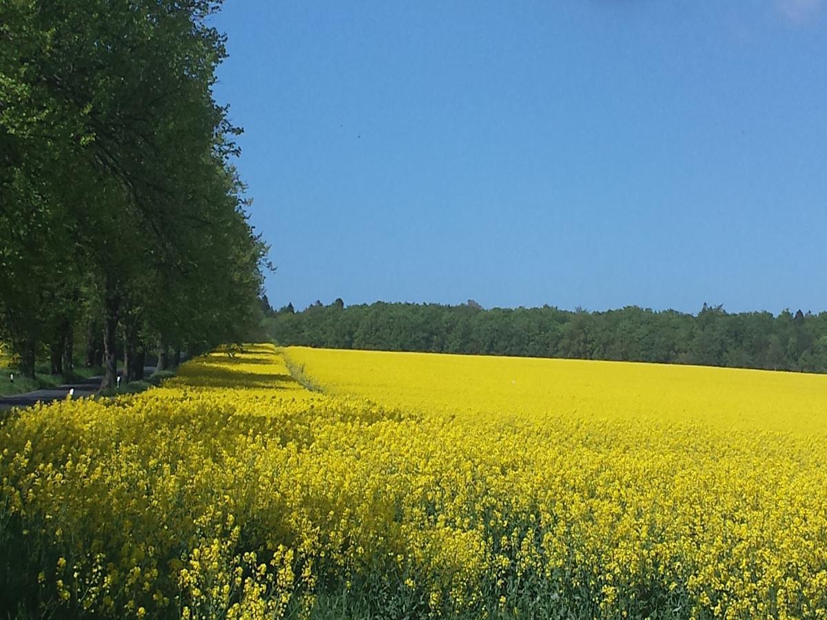 Sellina Daire Dış mekan fotoğraf